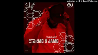 lloyd bw more feat kali mija 