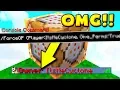 How To GET OP On ANY Minecraft server