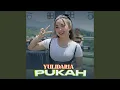 Download Lagu Pukah
