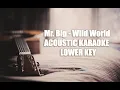 Download Lagu Mr. Big - Wild World - Acoustic Karaoke Lower Key