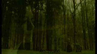 اتحدى العالم صابر الرباعى 