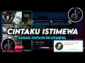 Download Lagu DJ Cintaku Istimewa Slow Remix Viral Tiktok Terbaru 2023 Full Bass