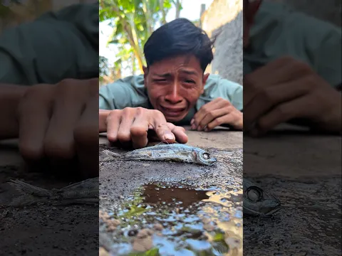 Oh my God, the tears are streaming down my face seeing my fish gone forever #fishsongs