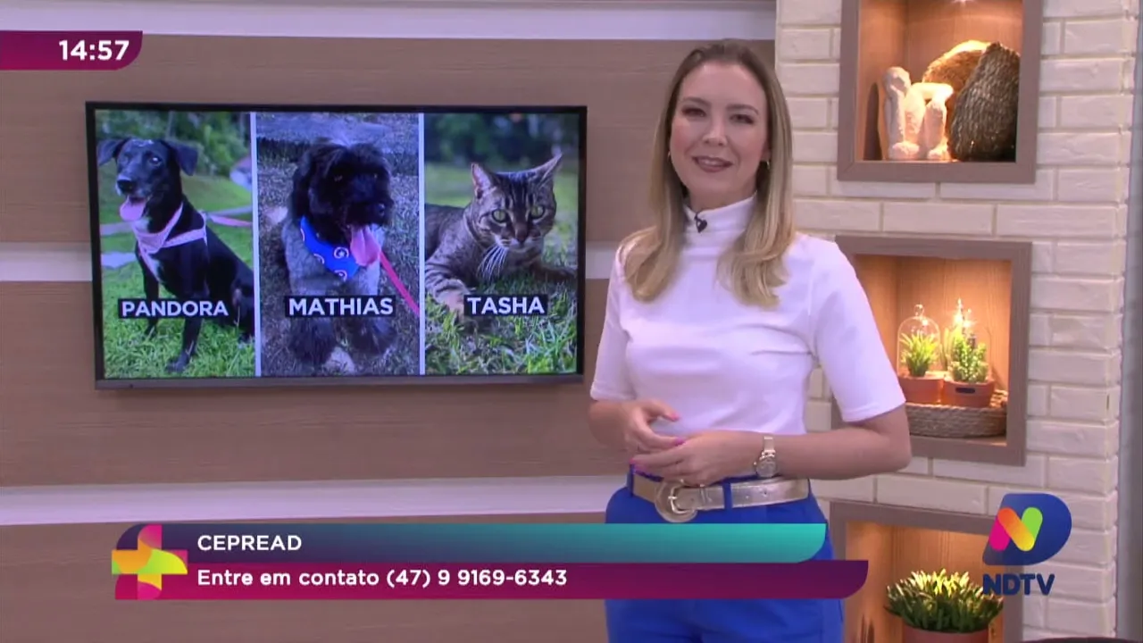 Me Adota: Ver Mais incentiva a adoção responsável