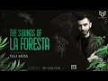Download Lagu THE SOUNDS OF LA FORESTA EP 31 - TALI MUSS