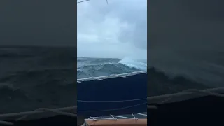 Southern Ocean Calms 🌊