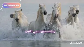 وين الخيل تشد الحيل  كاملة مع الكلمات  دندنها