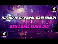 Download Lagu DJ HIDUP BERAWAL DARI MIMPI X ASU LAMA SUKA DIA FULL SONG MAMAN FVNDY VIRAL TIKTOK 2023