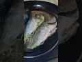 Download Lagu lets fry fish #fry #fish