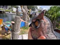 Weeki Watchee Gardens - River house Airbnb Review