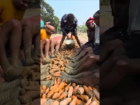 How are carrots washed at the factory? #shorts
