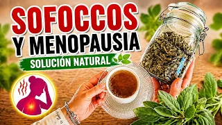   “MENOPAUSIA Y SOFOCOS: la infusión que le funcionó a mi madre”