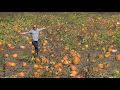 Lehner s Pumpkin Farm in Central Ohio named best pumpkin patch in the US