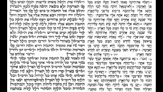 קריאת פרשת נח כמנהג יהודי קוצ ין 