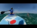 Download Lagu SUP surfing turns into rescue in rough seas