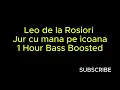 Download Lagu Leo de la Rosiori - Jur cu mana pe icoana 1 Hour Bass Boosted