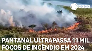 Pantanal ultrapassa 11 mil focos de incêndio em 2024