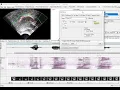 AAA219 Adding Fiducial splines by batch processing