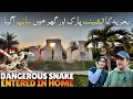 Lagu Dangerous Snake 🐍 Entered in our House and Ancient Park in Bahria Town Karachi🏃‍♀️