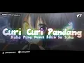 Lagu DJ Curi Curi Pandang Kaka Pung Manis Bikin Sa Suka ENAFF REMIX