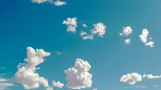 Câu cá