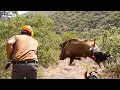DANGEROUS BOARS! 100 Shots in 20 Minutes (Best HUNTING Compilation)