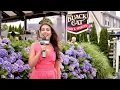 Explore The Black Cat Tavern Hyannis