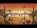 Juan Gabriel - La Farsante (Letra)