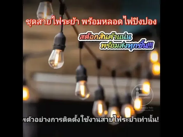 สายไฟระย้า ขั้วห้อยระย้า 100 เมตร พร้อมหลอดไฟปิงปอง 300 หลอด ขนาด 7 วัตต์