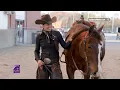 Visit Equine Affaire in Massachusetts