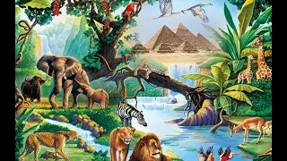 التنوع الحيوي فيديو   دندنها