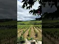 Lagu Douro Valley, Portugal