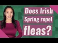 Does Irish Spring repel fleas