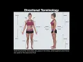A P I Lab Exercise 1 Anatomical Position Directional Terms Body Planes