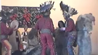 ursii tradition timi e ti 2003