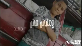 شيل حمل فوق حملى دندنها