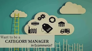 Category Manager - E Commerce Job Snapshot