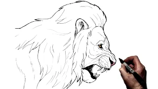 How To Draw a Lion Side Profile Step By Step
