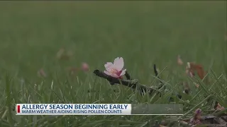 Central Ohioans battling seasonal allergies sooner because of mild winter