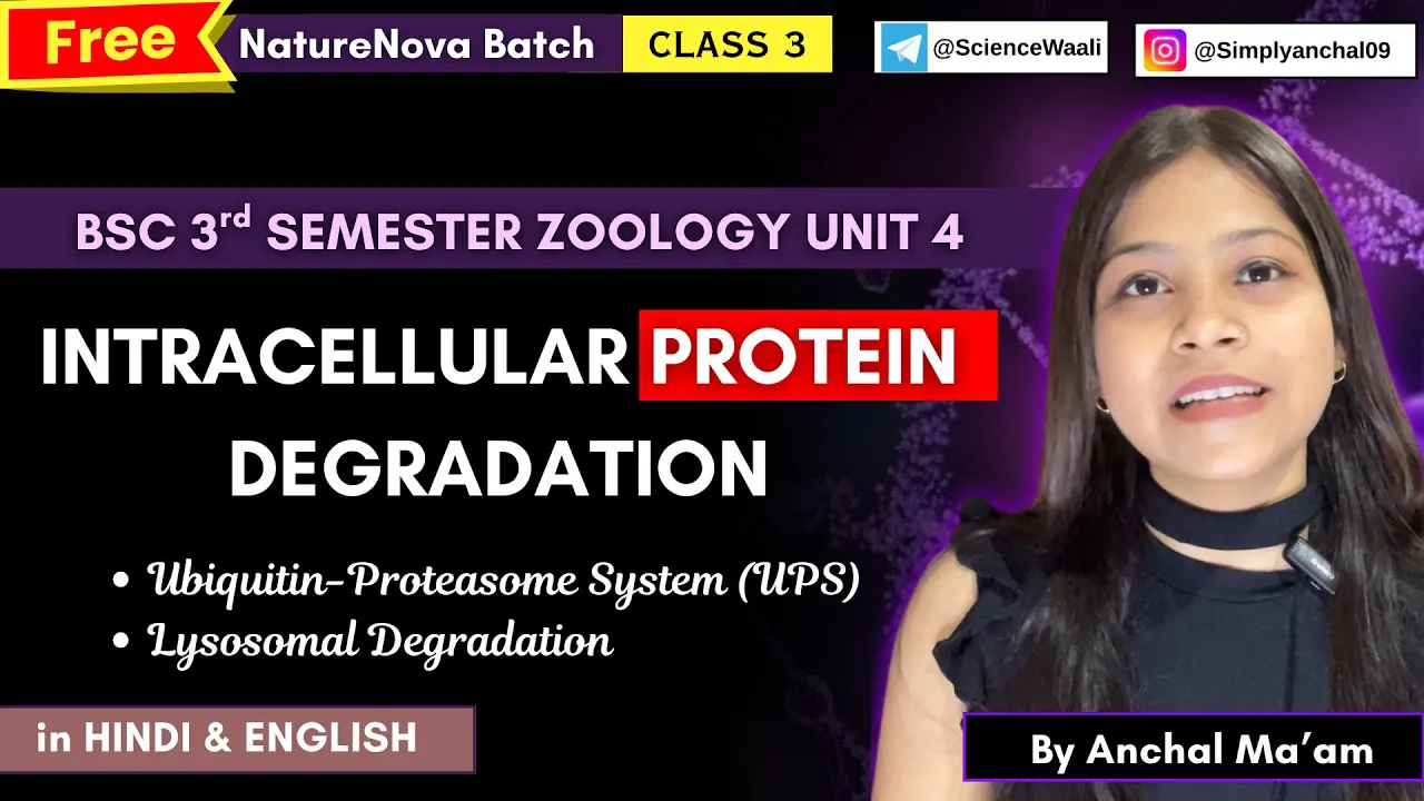 Intracellular protein degradation bsc 3rd semester zoology unit 4 🔥BSc 3rd semester zoology