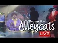 ▶️ Kerana Kau - Alleycats 'LIVE'