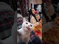 Download Lagu iklan kucing lucu #funny cat #funny #funnyvideo #funnyshorts #cat #cat adds #catshorts #catlovers