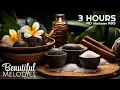 Download Lagu Spa Music No Ads, Relax Massage Music, Spa Music Relaxation No Ads