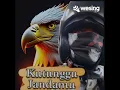 Download Lagu KU TUNGGU JANDA MU