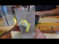 We Tried an AUTHENTIC Mexican Restaurant Puerto Vallarta Restaurant Review
