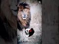 Download Lagu scarface lion 🦁#King# #scar#