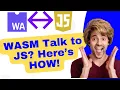 How WebAssembly Talks to JavaScript JSImport JSExport WASM