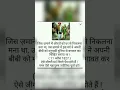 Download Lagu jyotiba phule status WhatsApp status shorts video education shorts motivational shorts #shorts