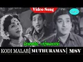 Lagu Kodimalar Movie Song | Mouname Paarvayaal Video Song | Muthuraman | R. Vijayakumari