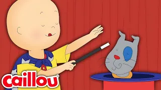 El espectáculo de talentos de la escuela | Caillou Español - WildBrain | Caricaturas para niños